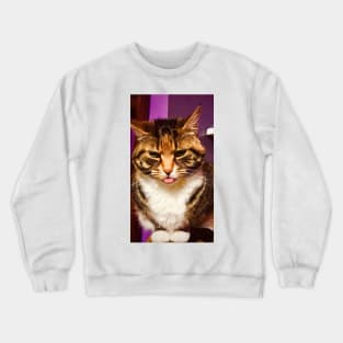 Kitty Willow: Mlem! Crewneck Sweatshirt